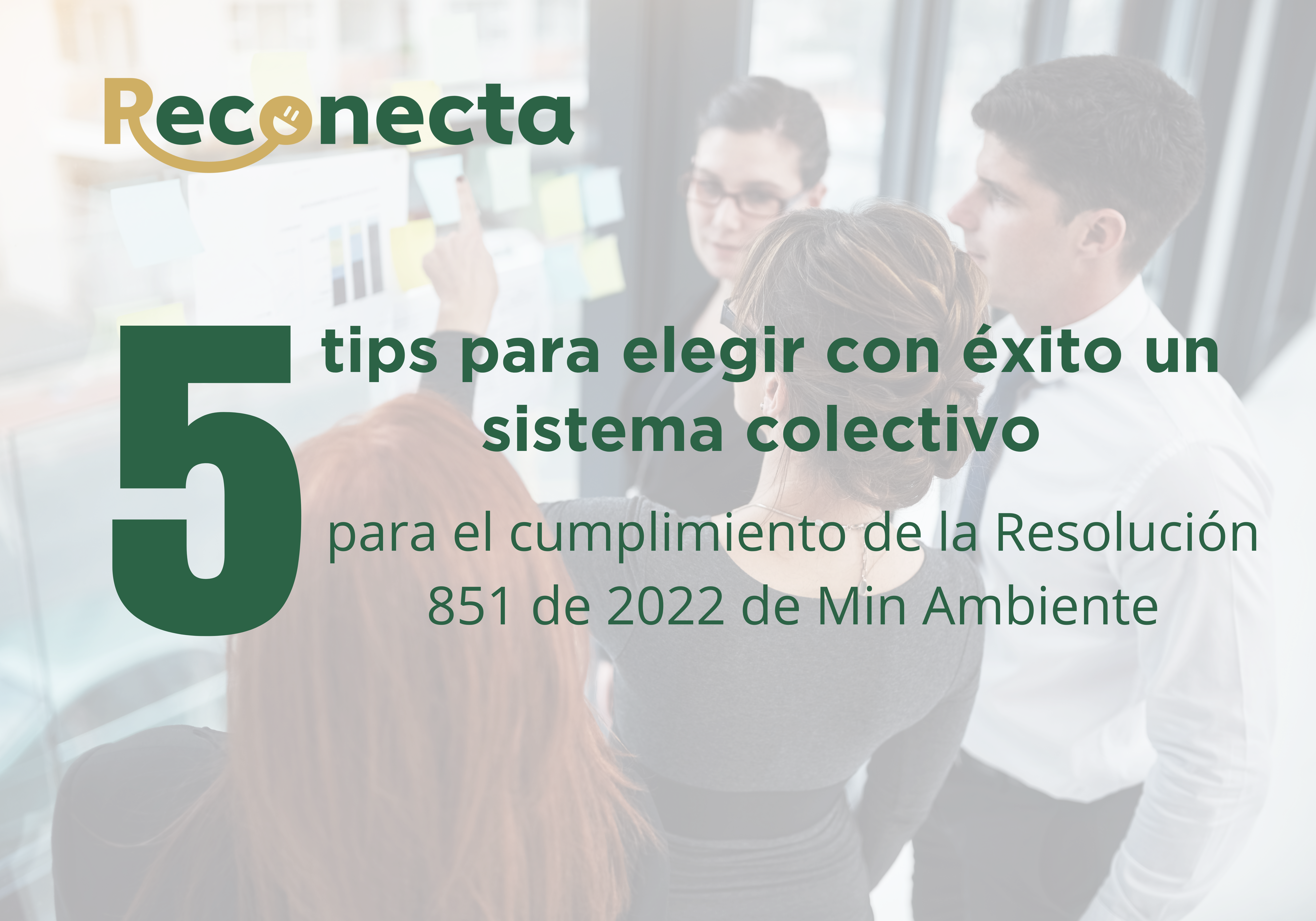 5 TIPS PARA ELEGIR CON ÉXITO UN SISTEMA COLECTIVO PARA EL CUMPLIMIENTO DE LA RESOLUCIÓN 851 DE 2022 DE MIN AMBIENTE