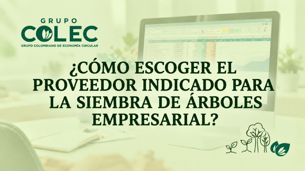 COMO ESCOGER EL PROVEEDOR INDICADO PARA LA SIEMBRA DE ÁRBOLES EMPRESARIAL